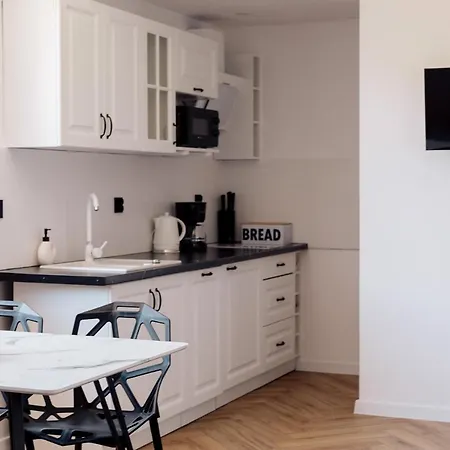 Koziolek Apartment